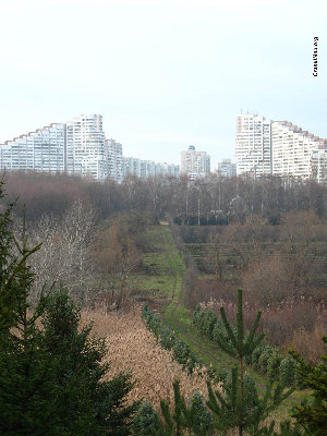 chisinau10.jpg (200.93 KiB) Viewed 35485 times Вот такая дорога в город...<br />Фотография сделана в ноябре 2007-го года.