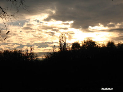 chisinau14.jpg (143.54 KiB) Viewed 35482 times Закат в Ботаническом саду.<br />Ноябрь,2007.