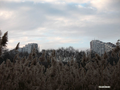 chisinau13.jpg (155.4 KiB) Viewed 36061 times Ворота города сквозь камыши.<br />Ноябрь,2007.