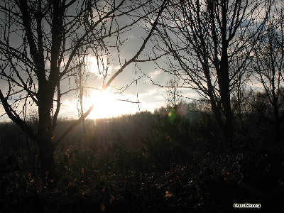 chisinau15.jpg (277.8 KiB) Viewed 35186 times Солнце сквозь ветки...<br />Ноябрь,2007.